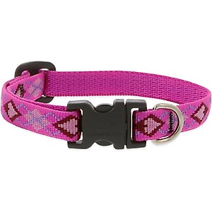 LupinePet Puppy Love Nylon Standard Dog Collar, Small: 8 to 12-in neck, 1/2-in wide