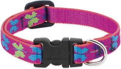 LupinePet Original Designs Wing It Dog Collar, Wing It, Small: 10 to 16-in neck, 1/2-in wide