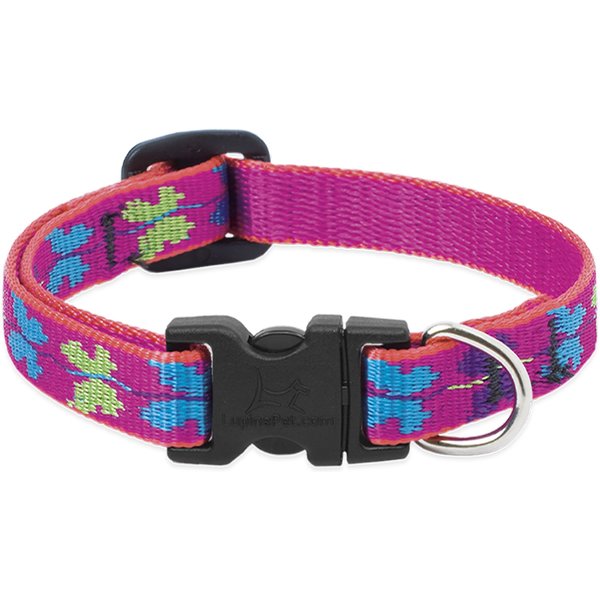 Buckle-Down Plastic Buckle Polyester Dog Collar, Camo Purple/Black/White