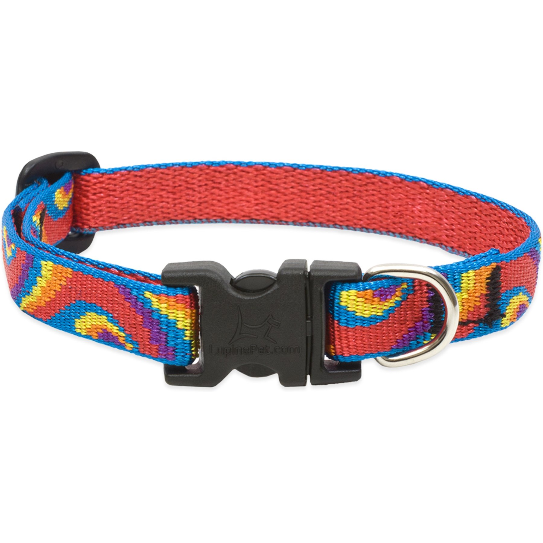 LupinePet Original Designs Lollipop Dog Collar, Lollipop, X-Small: 8 to 12-in neck, 1/2-in wide