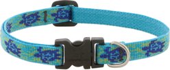 LupinePet Original Designs Turtle Reef Dog Collar, Turtle Reef, X-Small: 8 to 12-in neck, 1/2-in wide