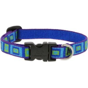 LupinePet Original Designs Sea Glass Dog Collar, Sea Glass, X-Small: 8 to 12-in neck, 1/2-in wide
