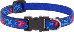 LupinePet Original Designs Social Butterfly Dog Collar, Social Butterfly, X-Small: 8 to 12-in neck, 1/2-in wide