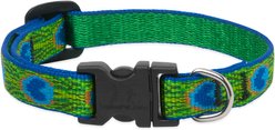 LupinePet Original Designs Tail Feathers Dog Collar, Tail Feathers, X-Small: 8 to 12-in neck, 1/2-in wide