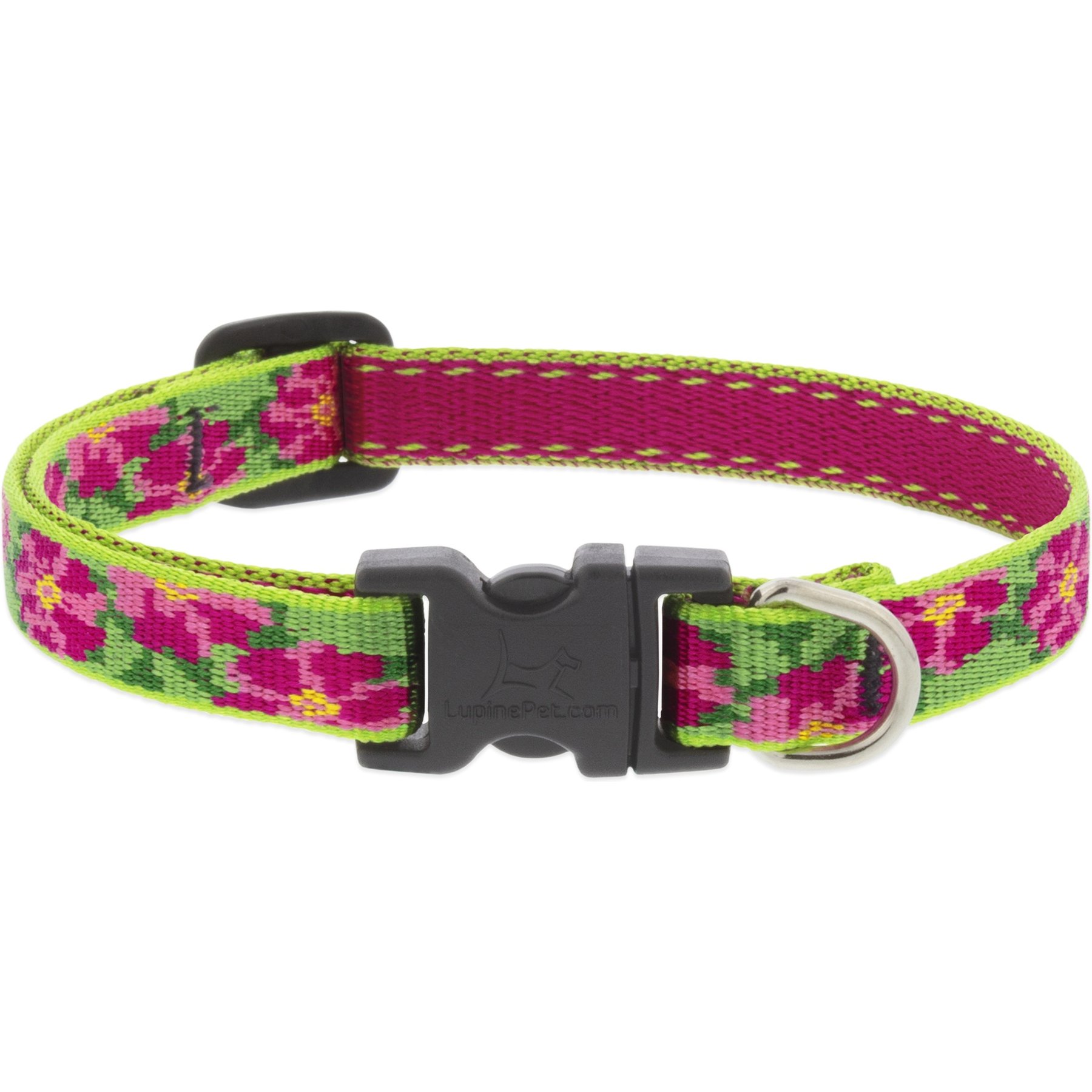 LupinePet Petunias Dog Collar, Small: 10 to 16-in neck, 1/2-in wide