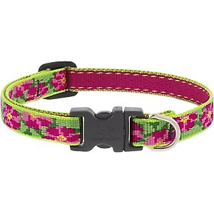 LupinePet Petunias Dog Collar, X-Small: 8 to 12-in neck, 1/2-in wide