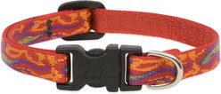 LupinePet Original Designs Go Go Gecko Dog Collar, Go Go Gecko, Small: 10 to 16-in neck, 1/2-in wide
