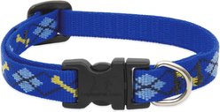 LupinePet Original Designs Dapper Dog Dog Collar, Dapper Dog, X-Small: 8 to 12-in neck, 1/2-in wide