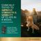 Show in main carousel: VetriScience GlycoFlex Plus Ultimate Strength Healthy Hip & Joint Peanut Butter Flavored Chews with Glucosamine & Chondroitin, Supplement for Medium to Large Dogs, 120 count slide 3 of 10