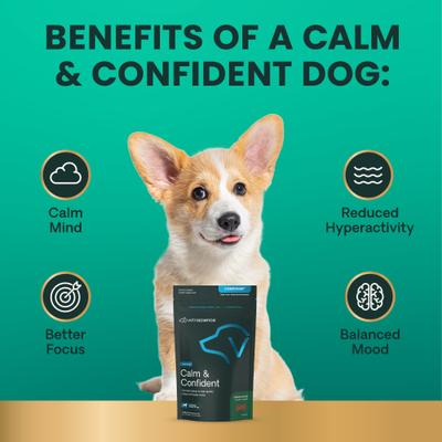 Show full view: VetriScience Composure Chicken Liver Flavored Soft Chews Calming & Anxiety Supplement for Small Dogs, 30 count slide 6 of 11