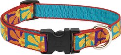 LupinePet Original Designs Crazy Daisy Nylon Standard Dog Collar, Medium: 13 to 22-in neck, 3/4-in wide