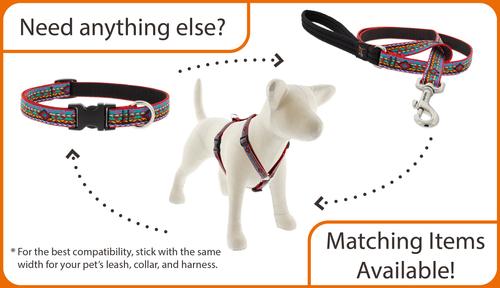 Show full view: LupinePet Original Designs Crazy Daisy Nylon Standard Dog Collar, Small: 9 to 14-in neck, 3/4-in wide slide 4 of 7