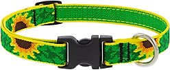LupinePet Original Designs Sunflowers Nylon Standard Dog Collar, Small: 9 to 14-in neck, 3/4-in wide