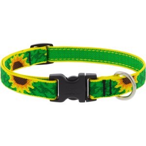 LupinePet Original Designs Sunflowers Nylon Standard Dog Collar, Medium: 13 to 22-in neck, 3/4-in wide