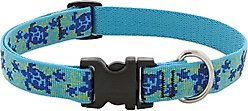 LupinePet Original Designs Turtle Reef Nylon Standard Dog Collar, Small: 9 to 14-in neck, 3/4-in wide slide 1 of 6