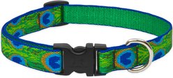 LupinePet Original Designs Tail Feathers Nylon Standard Dog Collar, Medium: 13 to 22-in neck, 3/4-in wide