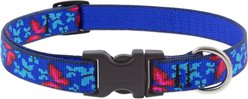 LupinePet Original Designs Social Butterfly Nylon Standard Dog Collar, Small: 9 to 14-in neck, 3/4-in wide