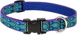 LupinePet Original Designs Rain Song Nylon Standard Dog Collar, Medium: 13 to 22-in neck, 3/4-in wide