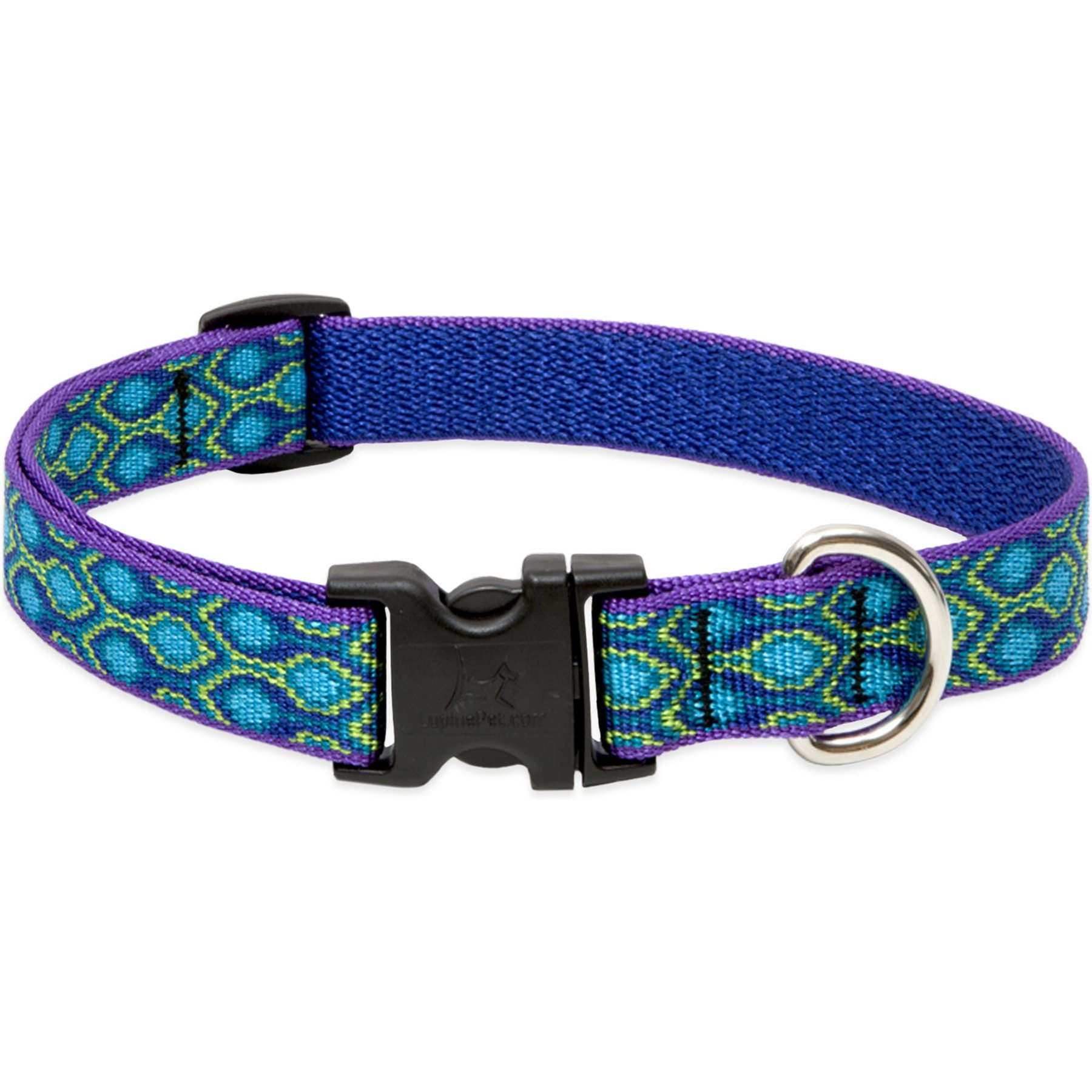 LupinePet Original Designs Rain Song Nylon Standard Dog Collar, Small: 9 to 14-in neck, 3/4-in wide