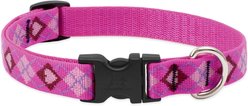 LupinePet Original Designs Puppy Love Nylon Standard Dog Collar, Large: 15 to 25-in neck, 3/4-in wide