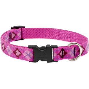 LupinePet Original Designs Puppy Love Nylon Standard Dog Collar, Large: 15 to 25-in neck, 3/4-in wide