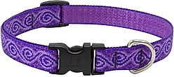 LupinePet Originals Jelly Roll Nylon Standard Dog Collar, Medium: 13 to 22-in neck, 3/4-in wide