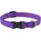 Show in main carousel: LupinePet Originals Jelly Roll Nylon Standard Dog Collar, Medium: 13 to 22-in neck, 3/4-in wide slide 1 of 8