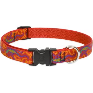 LupinePet Original Designs El Paso Dog Collar