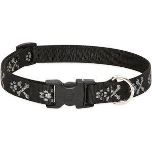 LupinePet Original Designs Bling Bonz Nylon Standard Dog Collar, Small: 9 to 14-in neck, 3/4-in wide
