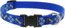 LupinePet Original Designs Dapper Dog Nylon Standard Dog Collar, Medium: 13 to 22-in neck, 3/4-in wide