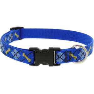 LupinePet Original Designs Dapper Dog Nylon Standard Dog Collar, Small: 9 to 14-in neck, 3/4-in wide