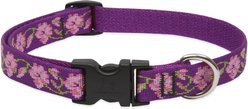 LupinePet Original Designs Rose Garden Nylon Standard Dog Collar, Small: 9 to 14-in neck, 3/4-in wide