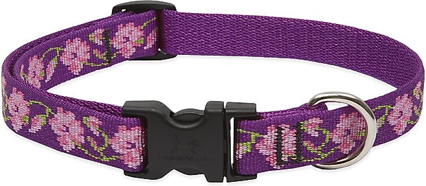 Buckle-Down Cheshire Cat Tree Dog Collar
