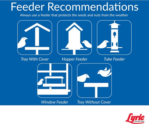 Show full view: Lyric Wild Bird Food, 5-lb bag slide 8 of 10