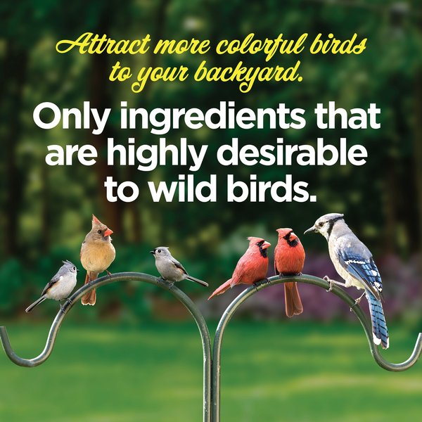 Show full view: Lyric Supreme Wild Bird Food, 40-lb bag slide 3 of 11