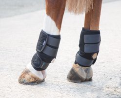 Shires Equestrian Products ARMA Hot/Cold Joint Relief Horse Boots, Black slide 2 of 2