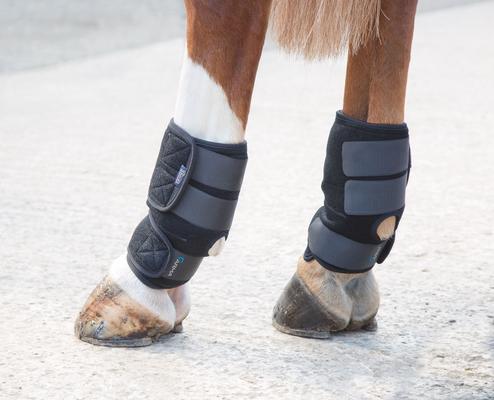 Show full view: Shires Equestrian Products ARMA Hot/Cold Joint Relief Horse Boots, Black slide 2 of 3