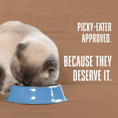 Show full view: Whole Life Natures Remedy Recover Interim Stomach Distress Cat Food, 8-oz bag slide 9 of 13