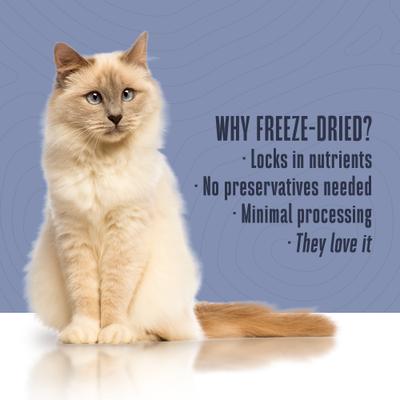 Show full view: Whole Life Natures Remedy Recover Interim Stomach Distress Cat Food, 8-oz bag slide 7 of 13