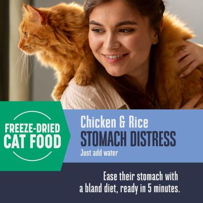 Show full view: Whole Life Natures Remedy Recover Interim Stomach Distress Cat Food, 8-oz bag slide 5 of 13