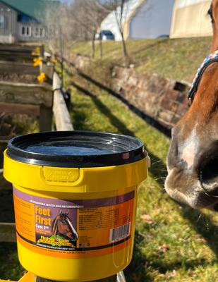 Show full view: Finish Line Feet First Skin, Coat & Hoof Care Powder Horse Supplement, 2.25-lb tub slide 4 of 5