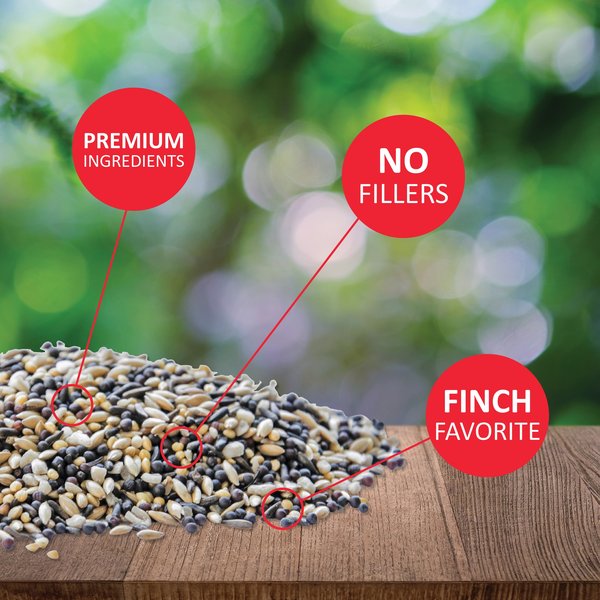 Show full view: Lyric Finch Small Songbird Wild Bird Food, 20-lb bag slide 5 of 11