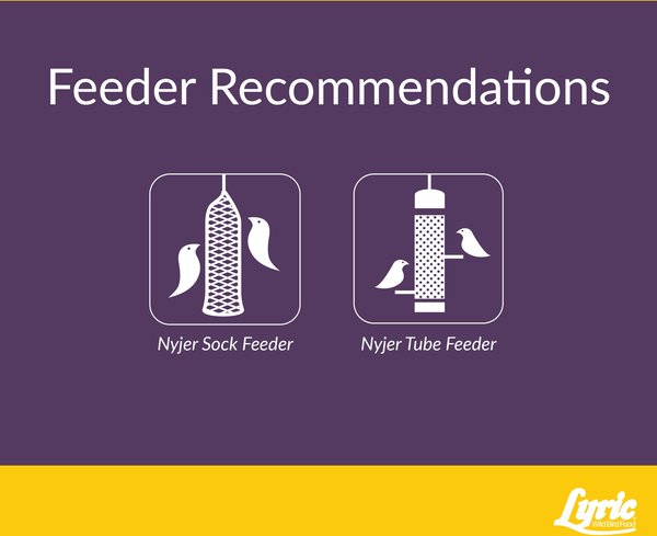 Show full view: Lyric Finch Small Songbird Wild Bird Food, 20-lb bag slide 8 of 11