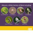Show in main carousel: Lyric Finch Small Songbird Wild Bird Food, 20-lb bag slide 7 of 11