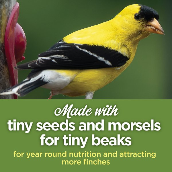 Show full view: Lyric Finch Small Songbird Wild Bird Food, 20-lb bag slide 3 of 11