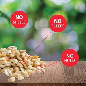 Lyric Peanut Pieces Wild Bird Food, 15-lb bag