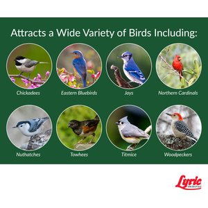 Lyric Peanut Pieces Wild Bird Food, 15-lb bag