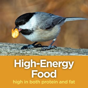 Lyric Peanut Pieces Wild Bird Food, 15-lb bag