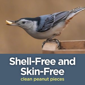 Lyric Peanut Pieces Wild Bird Food, 15-lb bag