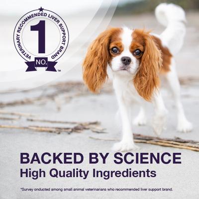 Nutramax Denamarin with S-Adenosylmethionine & Silybin Chewable Tablets Liver Supplement for Dogs